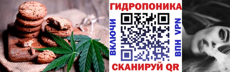 Купить закладки  Кольчугино  Canna-Cookies конопля 