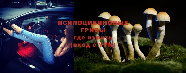 дмт Армянск