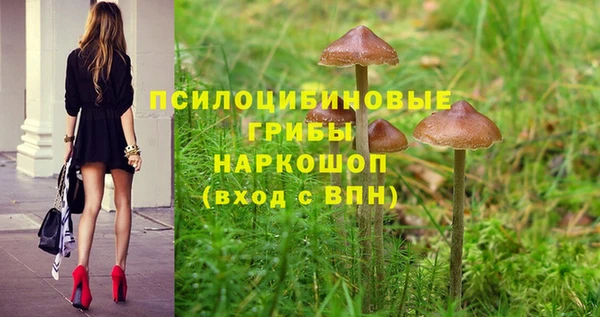 spice Арсеньев
