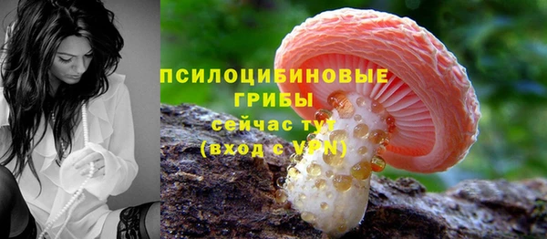 гидропоника Пестово