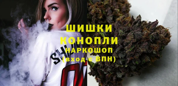 метадон Алексин