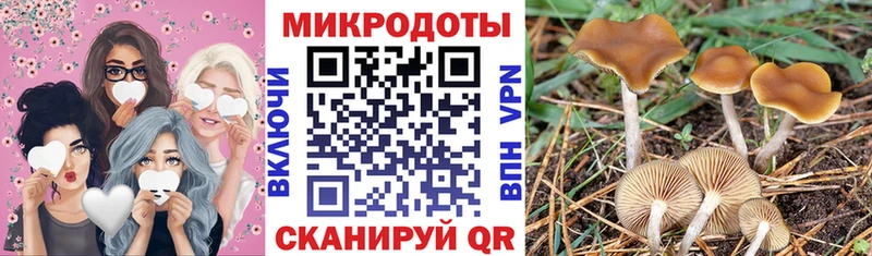 Купить закладки  Кольчугино  Галлюциногенные грибы мухоморы 